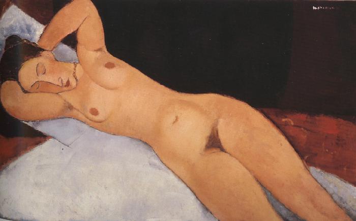 Amedeo Modigliani Nude (mk39) oil painting picture